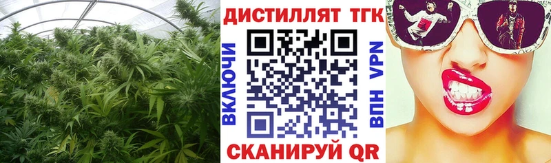 Дистиллят ТГК Wax  где продают наркотики  Алзамай 