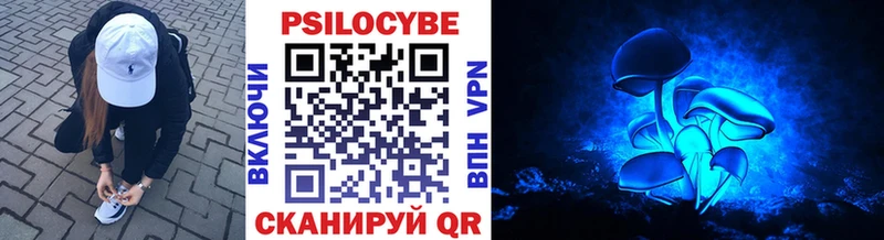 blacksprut сайт  Алзамай  Псилоцибиновые грибы MAGIC MUSHROOMS  как найти наркотики 