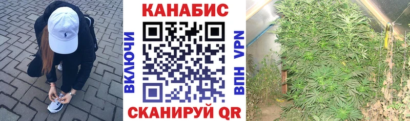 Бошки Шишки планчик  mega маркетплейс  Алзамай 